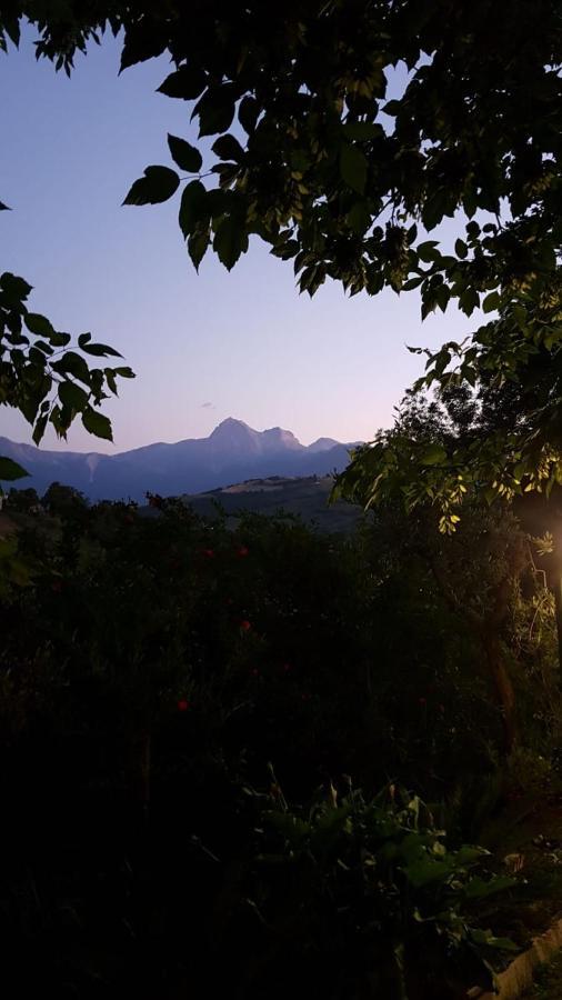 Il Girasole Bed & Breakfast Basciano Exterior photo