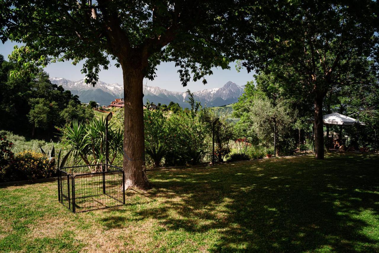 Il Girasole Bed & Breakfast Basciano Exterior photo