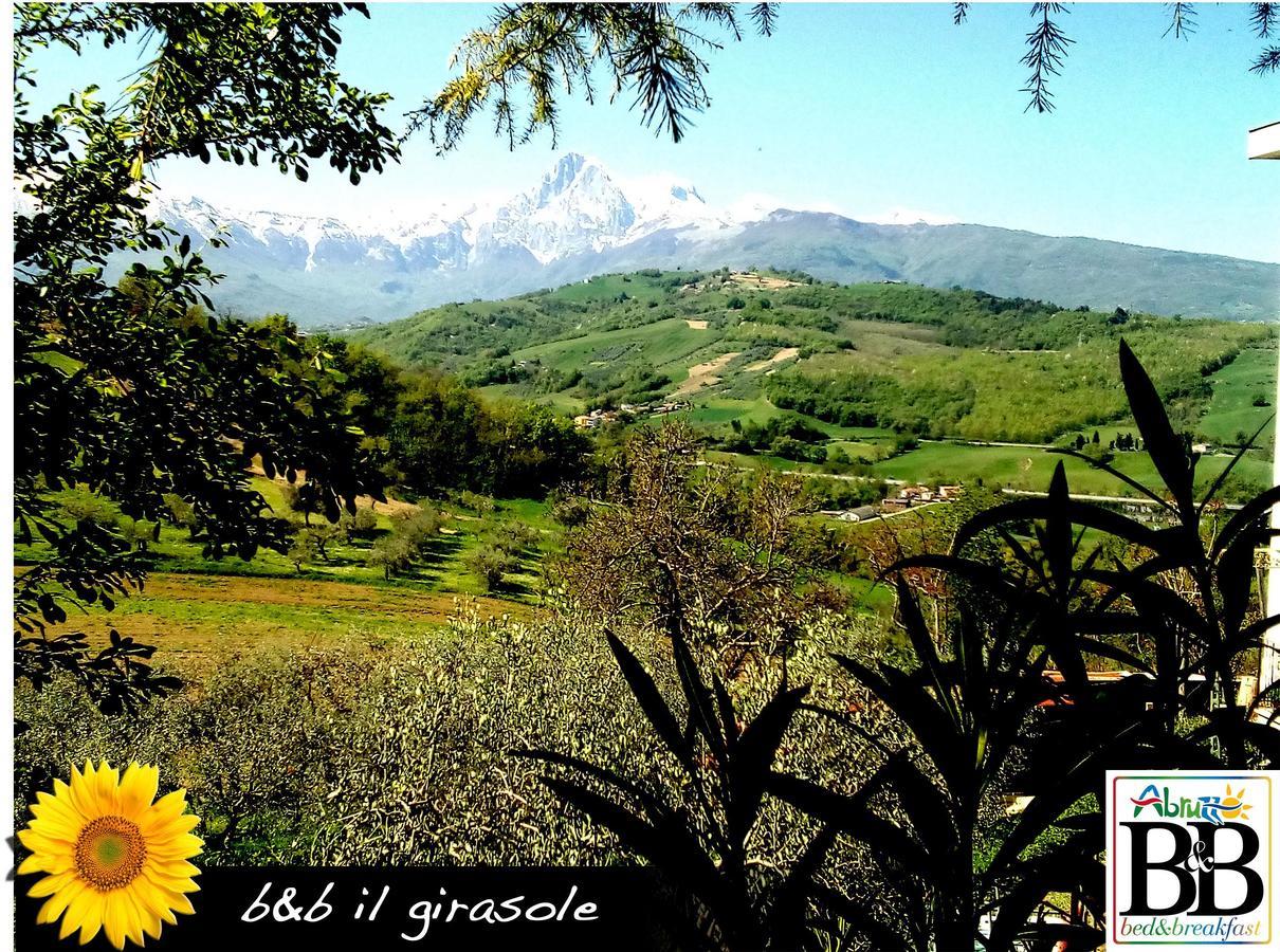 Il Girasole Bed & Breakfast Basciano Exterior photo